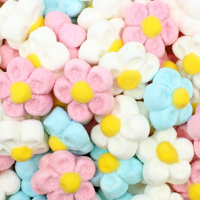 BULGARI- Margherite colorate di Marshmallow 900gr
